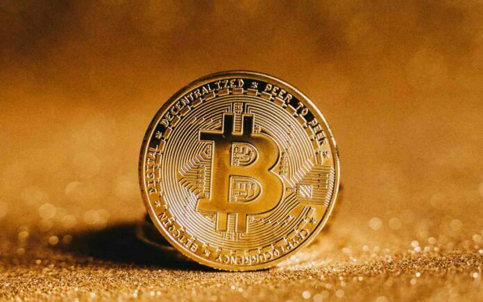 criptomonedas bitcoin criptomonedas bitcoin
