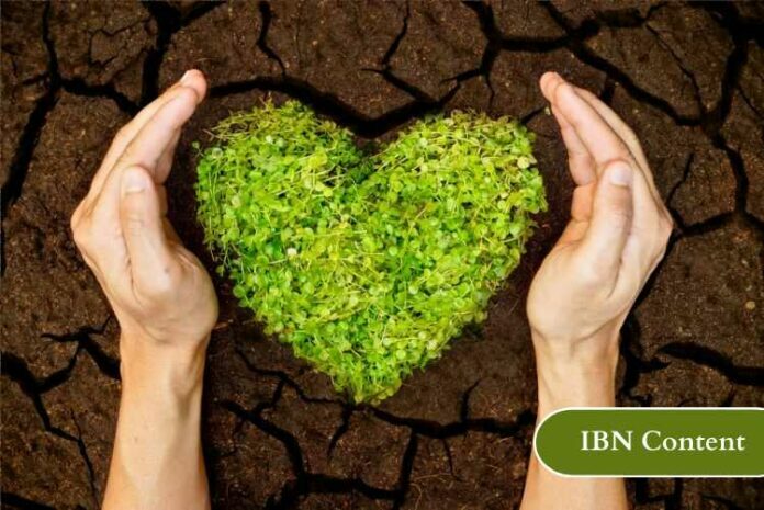 IBN Content_escritorio Sostenibilidad empresarial