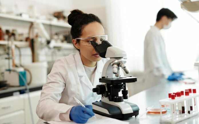 mujeres STEM mujeres STEM
