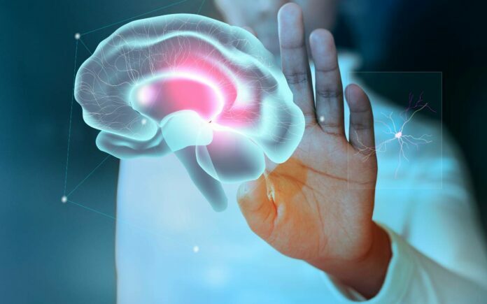neuromarketing neuromarketing