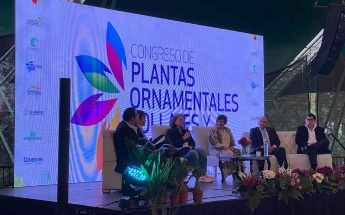 plantas y flores plantas y flores