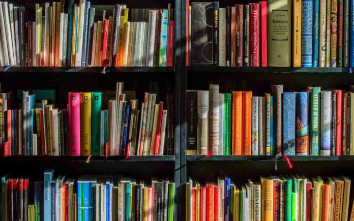 educación en América Latina educación en América Latina