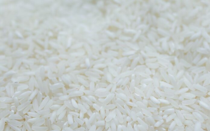 precio del arroz precio del arroz