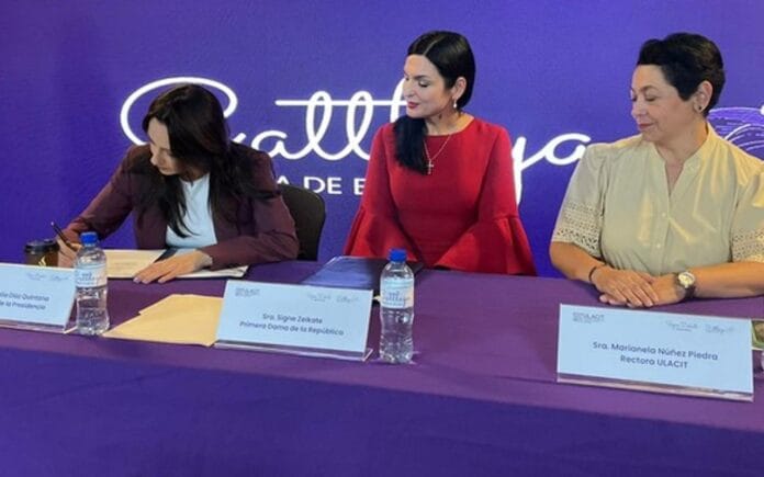 Becas Cattleya Becas Cattleya