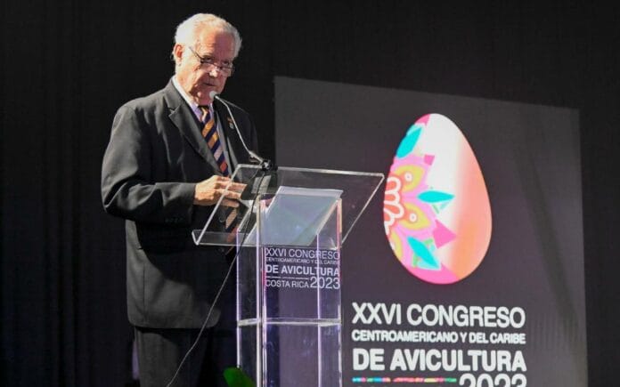 Avicultura Avicultura