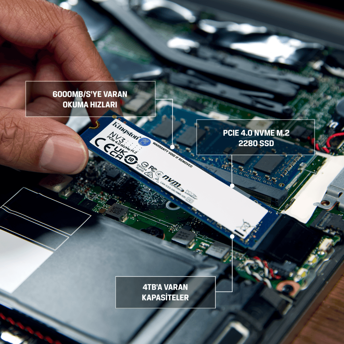 Reconocimiento a Kingston